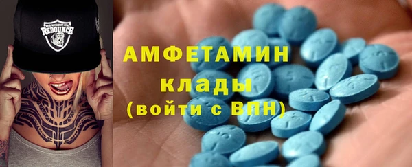 шишки Приозерск