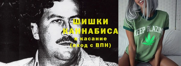 шишки Приозерск