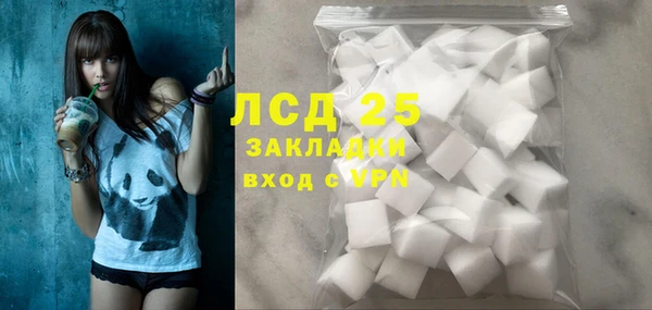 шишки Приозерск