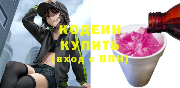 шишки Приозерск