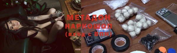 шишки Приозерск