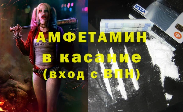 шишки Приозерск