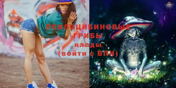 шишки Приозерск