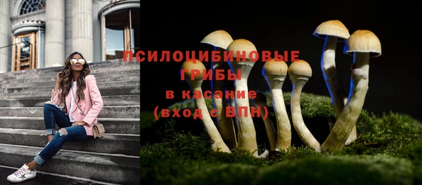 прущая мука Пролетарск